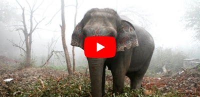 placeholder-thumbnail